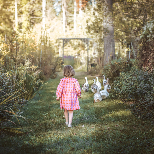 Child walking in nature observing ducks symbolic of sensitive Reflector children in Human Design, deeply connected to environment and reflection.