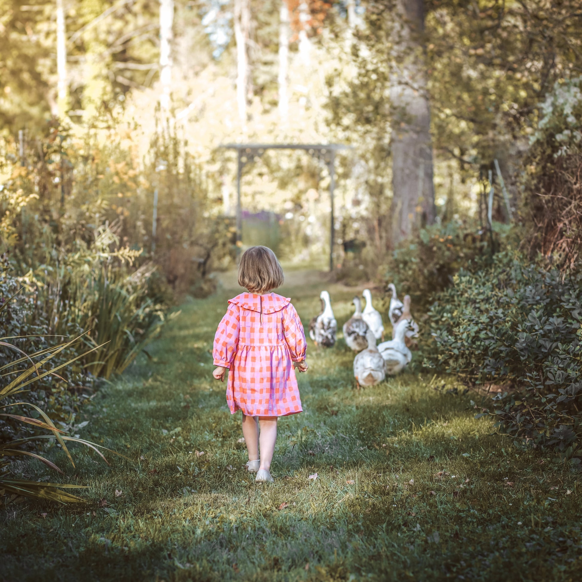 Child walking in nature observing ducks symbolic of sensitive Reflector children in Human Design, deeply connected to environment and reflection.